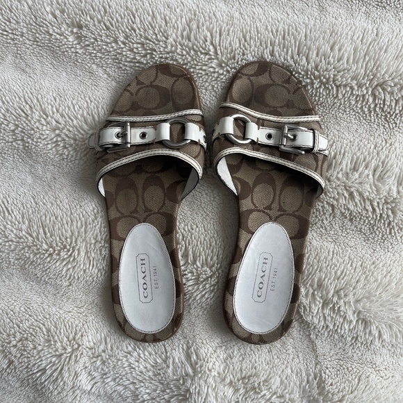 Coach slides - Picture 1 of 3